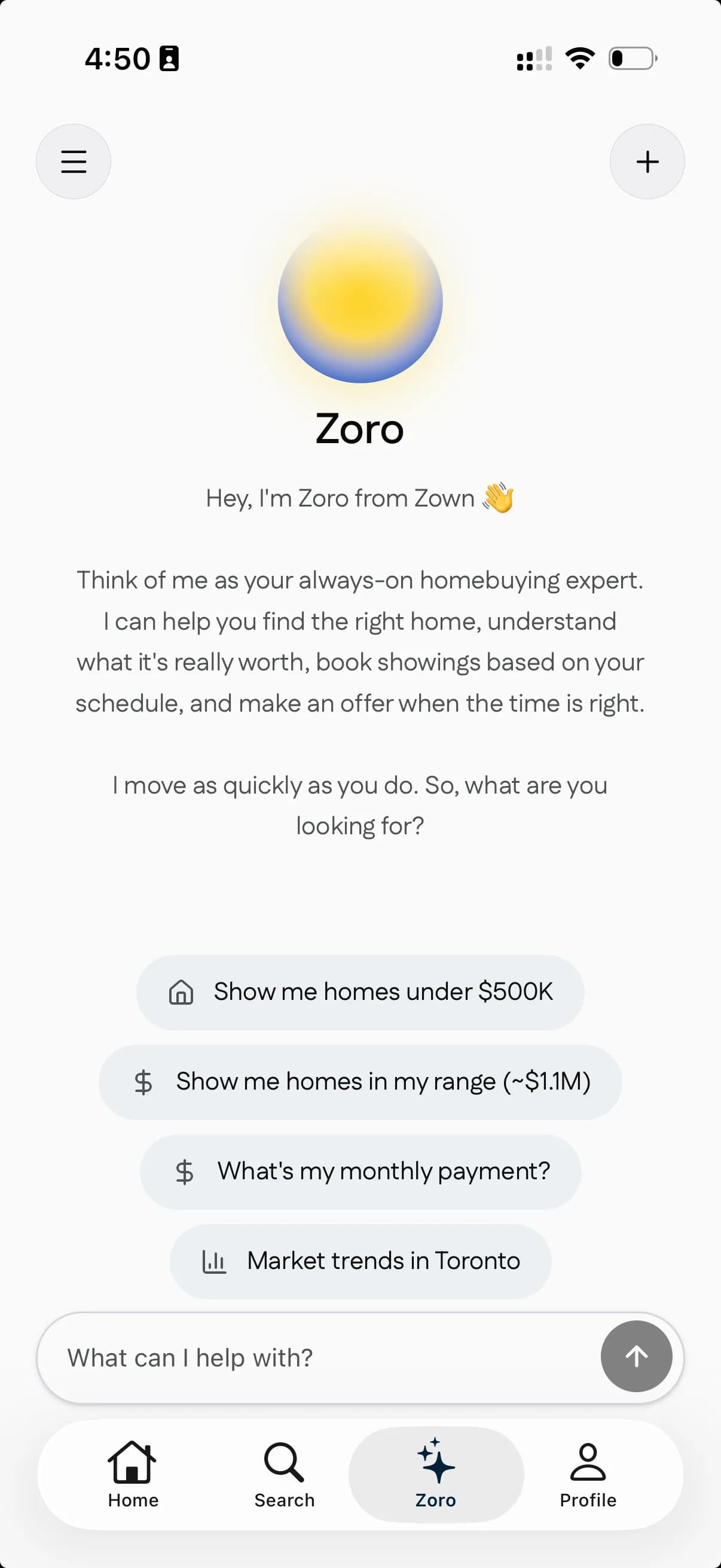 Zoro AI chat screen in the Zown app