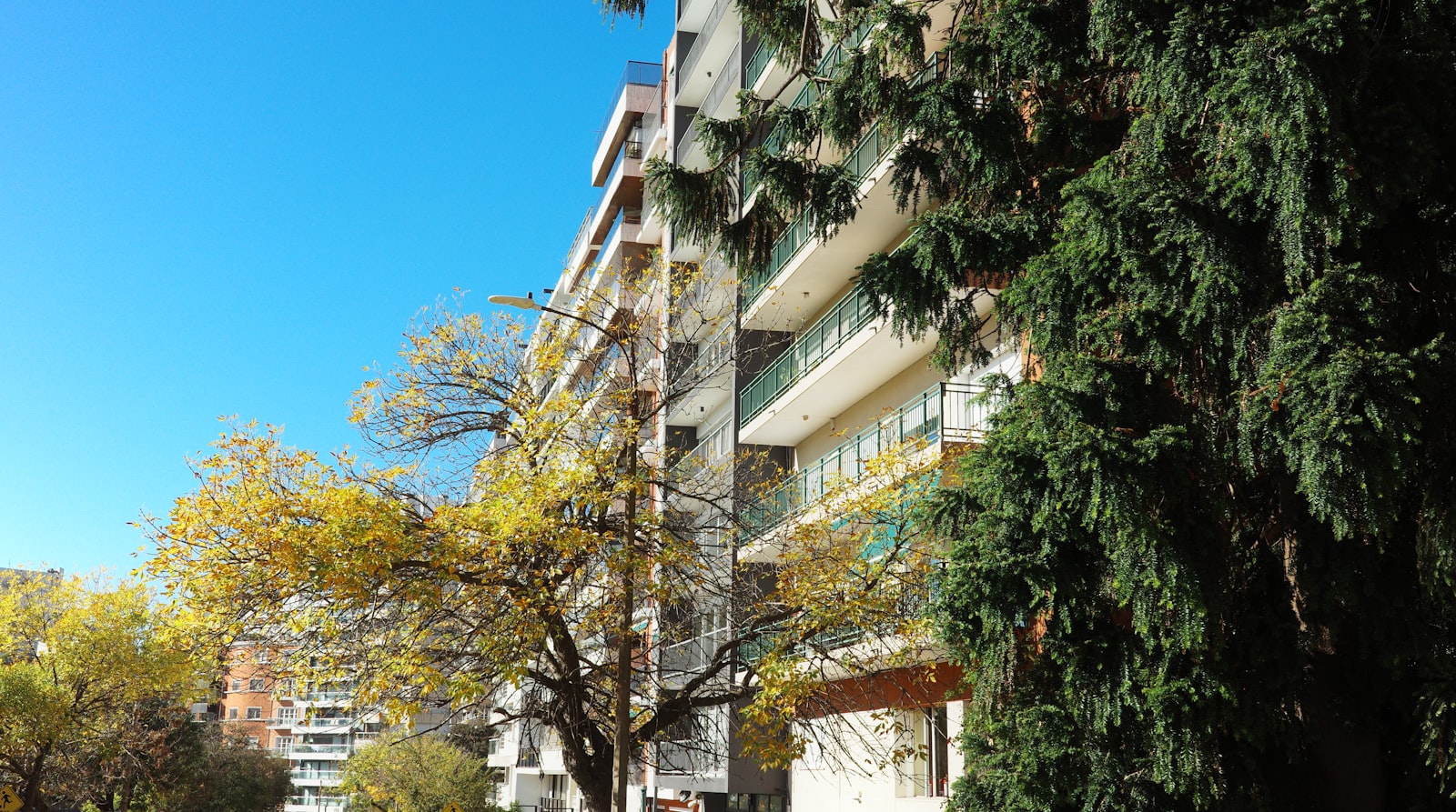 A mid-rise apartment building with balconies beside autumn trees under a clear blue sky